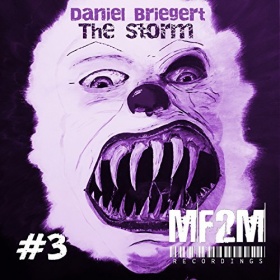 DANIEL BRIEGERT - THE STORM